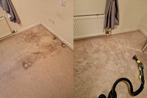 Living room carpet - before and after cleaning